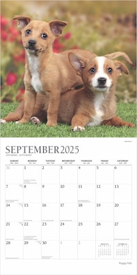 2025 Plato Puppy Pals 12" x 12" Monthly Square Wall Calendar (9781975478988)