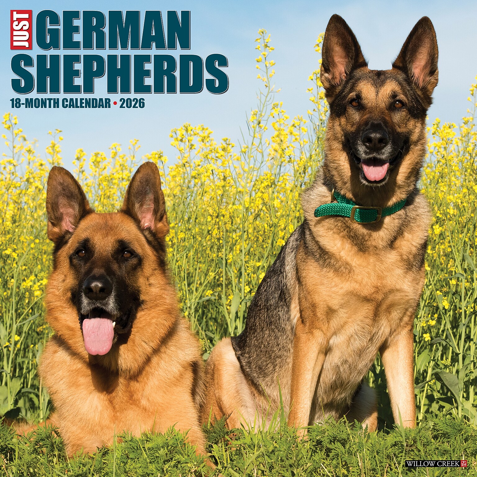 2026 Willow Creek German Shepherds 12 x 12 Monthly Wall Calendar (51238)