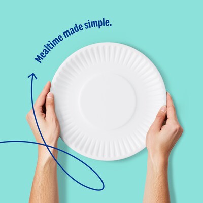 Perk 9 Inch Disposable Paper Plates, 100 Count Economy Plates for Everyday Use