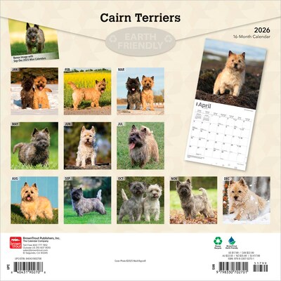 2026 BrownTrout Cairn Terriers 12 x 12 Monthly Wall Calendar (9798330702701)