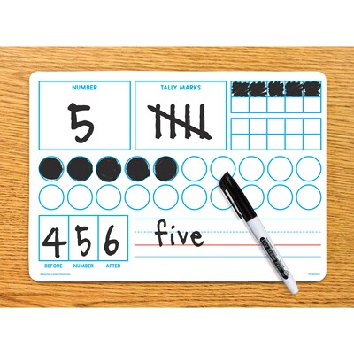 Teacher Created Resources Double-Sided Learning Numbers 1-20 Dry Erase Boards, 10/Pack (TCR77076)