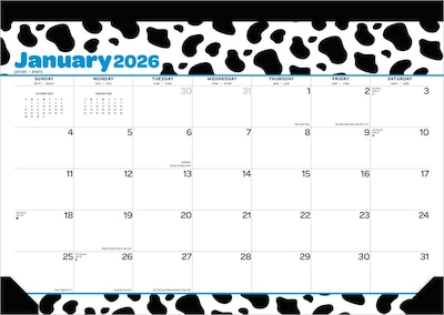 2026 Plato Cow Prints 15.5 x 11 Monthly Desk Pad Calendar (9798330700066)