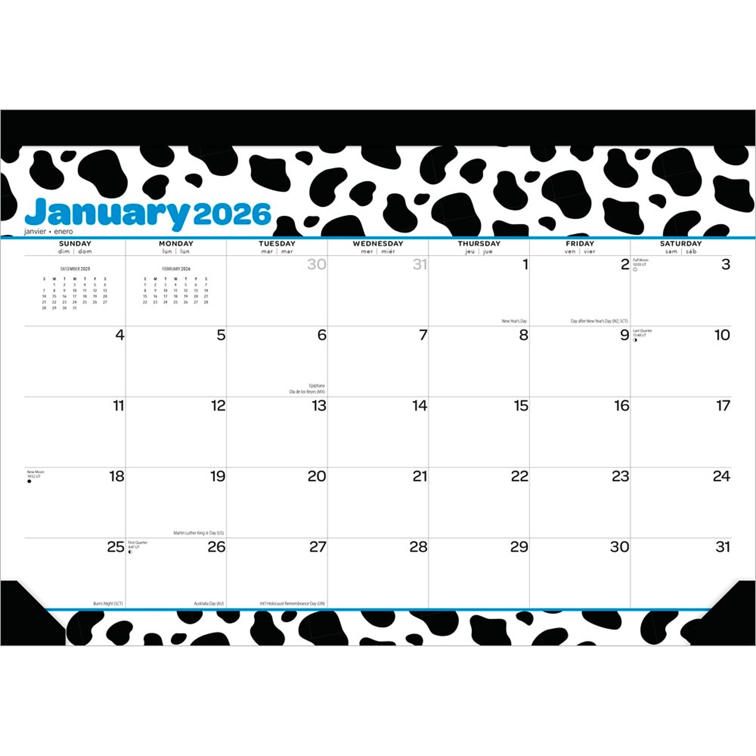 2026 Plato Cow Prints 15.5 x 11 Monthly Desk Pad Calendar (9798330700066)