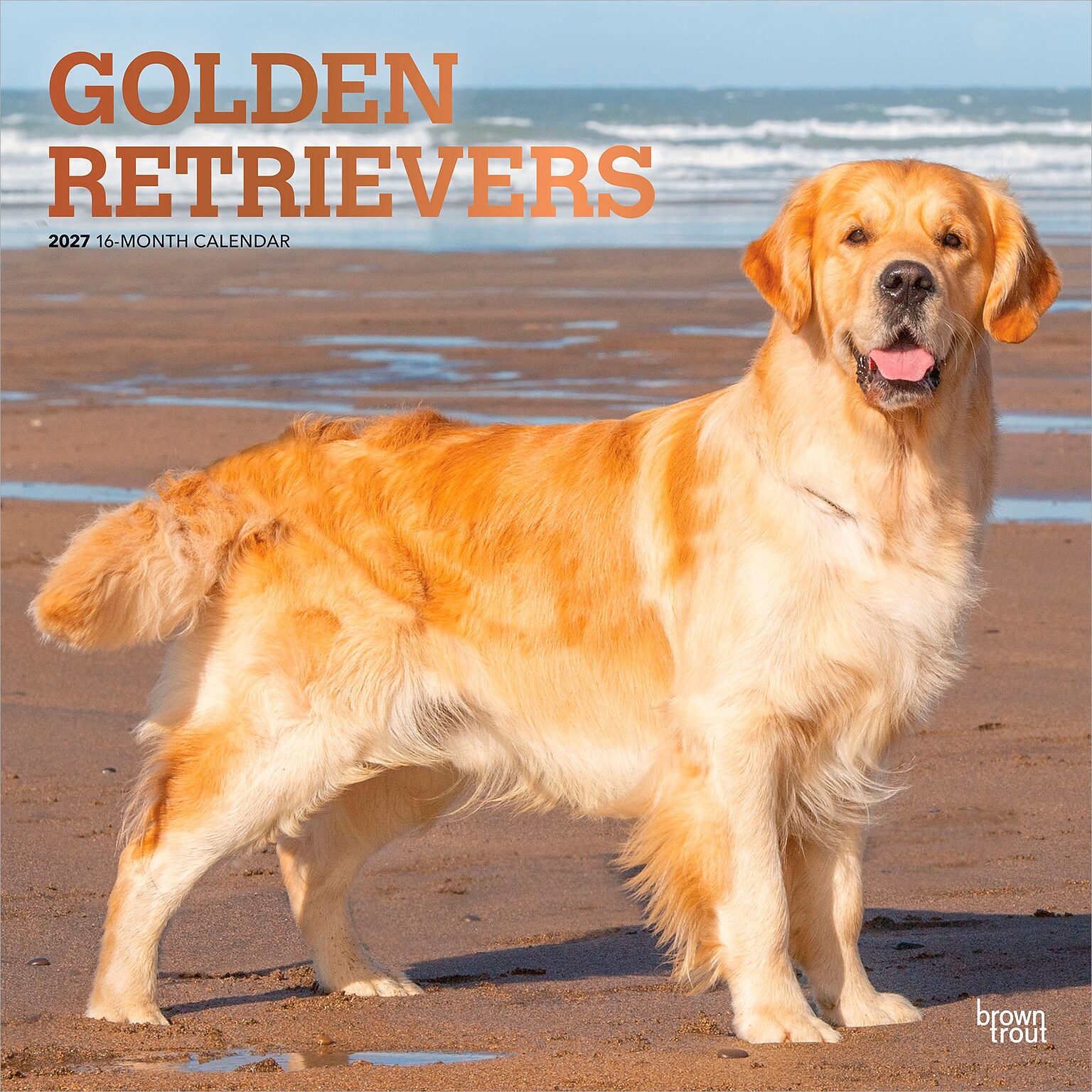 2027 BrownTrout Golden Retrievers 12 x 12 Monthly Wall Calendar (9798330712472)