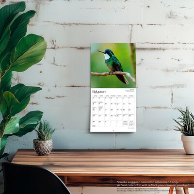 2026 BrownTrout Hummingbirds 7" x 7" Monthly Wall Calendar (9798330703791)