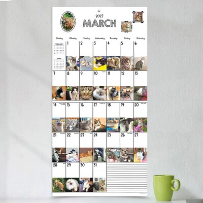 2027 TF Publishing Cat-A-Day 12" x 12" Monthly Wall Calendar (27-1002)