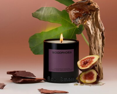 Boy Smells 8.5 oz Classic Candle - Vanilla Era