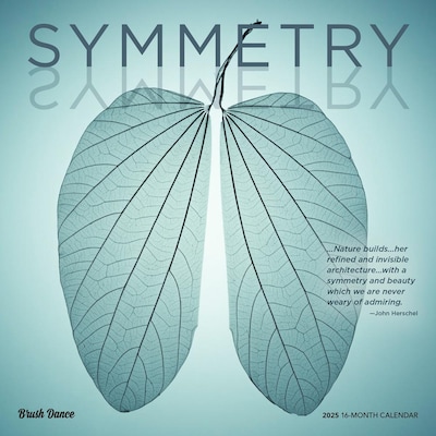 2025 Brush Dance Symmetry 12 x 12 Monthly Wall Calendar (9781975481445)