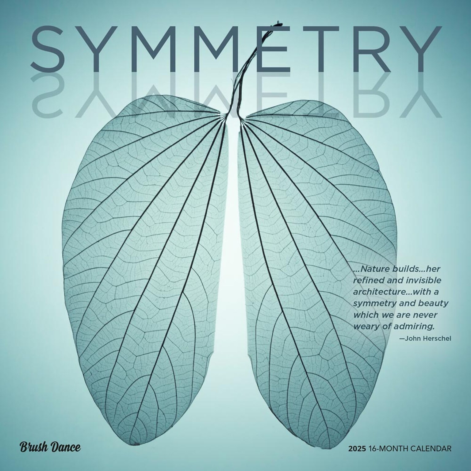 2025 Brush Dance Symmetry 12 x 12 Monthly Wall Calendar (9781975481445)
