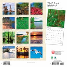 2024 BrownTrout Mississippi Wild & Scenic 12 x 24 Monthly Wall Calendar (9781975464004)