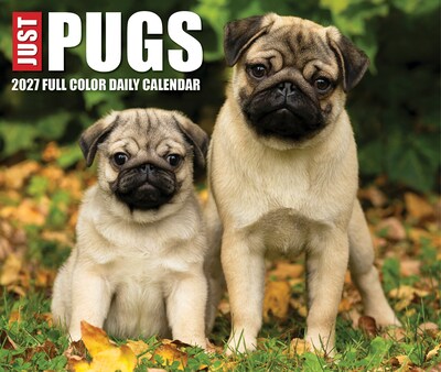 2027 Willow Creek Just Pugs 5.4" x 6.2" Day-to-Day Calendar (63699)