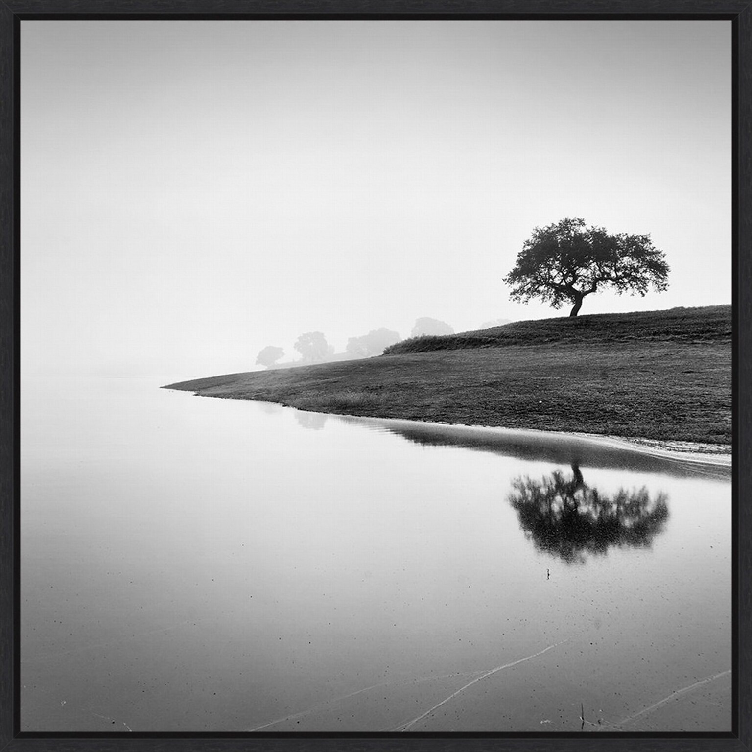Amanti Art Tree in the Lake by Alexandre Manuel Framed Canvas Wall Art Print, 30 x 30 (A42678027394)