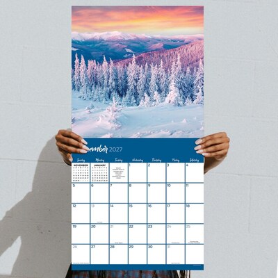 2027 TF Publishing Trees 10" x 12" Monthly Wall Calendar, Multicolored (27-1029)