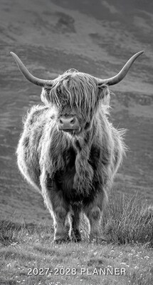 2026-2028 Willow Creek Highland Cows 3.5 x 6.5 Monthly Pocket/Wallet Calendar, Assorted Colors (66744)
