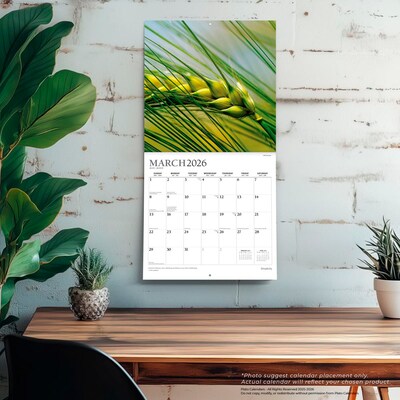 2026 Plato Simplicity 12" x 12" Monthly Wall Calendar (9798330706686)