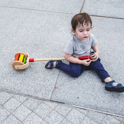 Plan Toys Walk N Roll Wooden Push & Pull Toy, Multicolored (PTS5137)