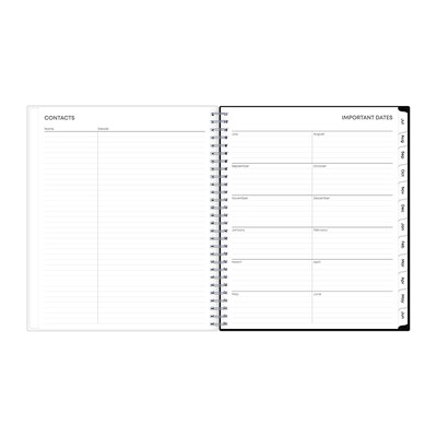 2025-2026 Blue Sky Analeis 8" x 10" Academic Year Monthly Planner, Plastic Cover, Multicolored (130613-A26)