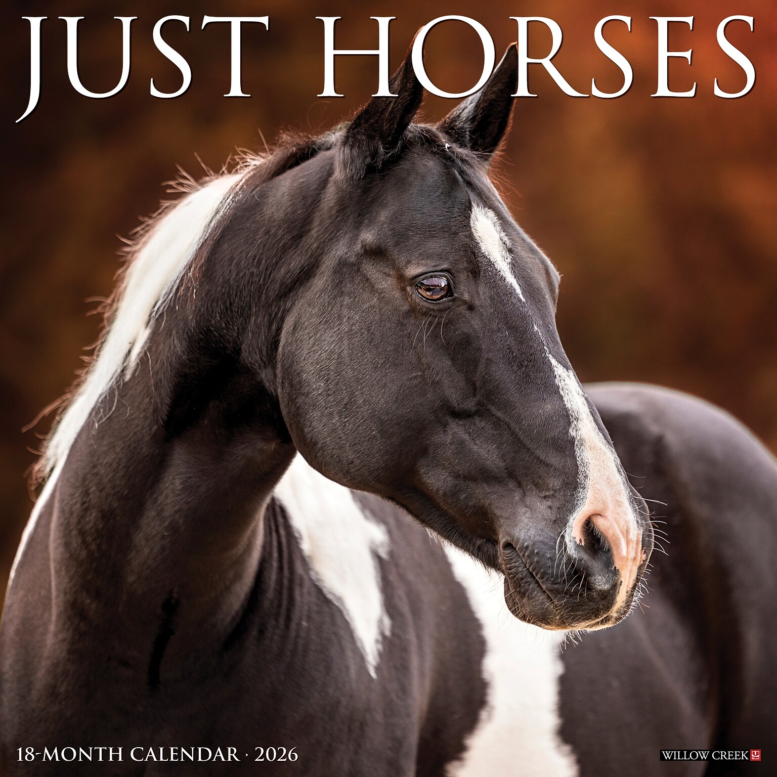 2026 Willow Creek Horses 12 x 12 Monthly Wall Calendar (51504X)