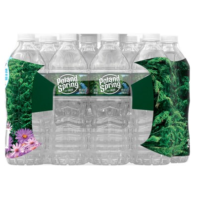 Poland Spring 100% Natural Spring Water, Regular Flavor, 16.9 oz., 24/Carton (12119419)