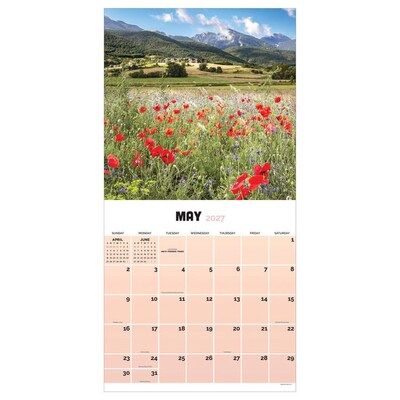 2027 TF Publishing Seasons 11" x 12" Monthly Wall Calendar, Multicolored (27-1059)