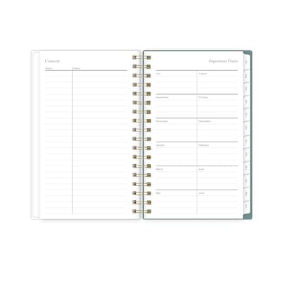 2026-2027 Blue Sky Vineyard 3" x 6" Academic Year Weekly & Monthly Planner, Plastic Cover, Green/Pink (157561)
