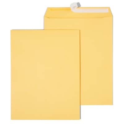 Staples® Kraft EasyClose Catalog Envelopes;10 x 13, Brown, 250/Box (ST479889-CC)