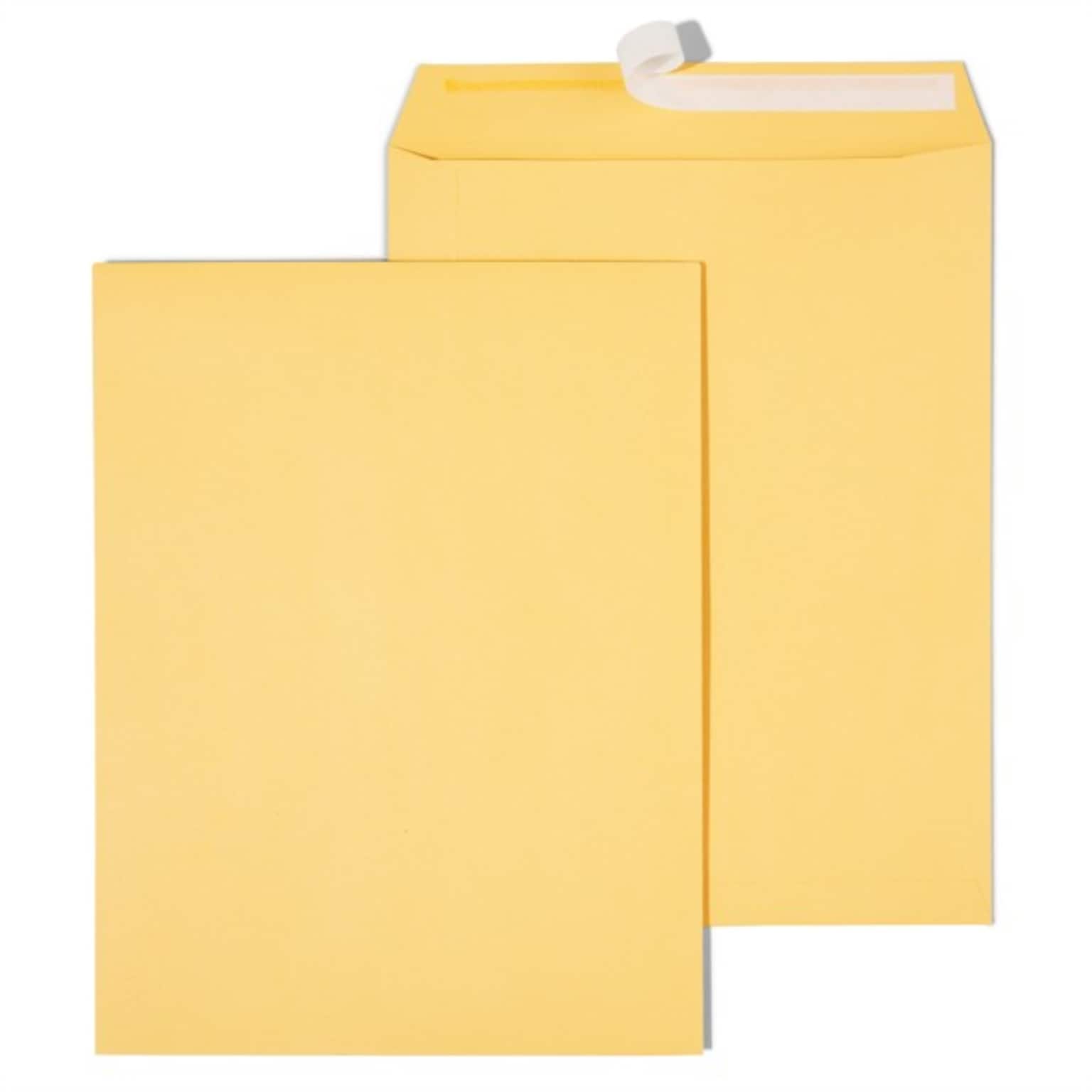 Staples® Kraft EasyClose Catalog Envelopes;10 x 13, Brown, 250/Box (ST479889-CC)