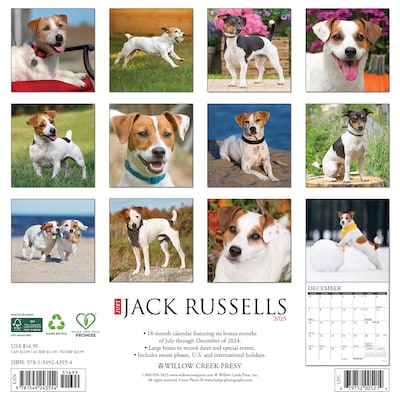 2025 Willow Creek Just Jack Russells 12 x 12 Monthly Wall Calendar (43554)