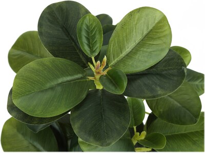 Monarch Specialties Inc. Ficus Elastica in Pot, 2/Pack (I 9585)