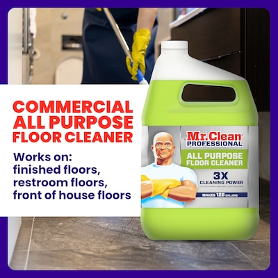 Mr. Clean Professional All Purpose Floor Cleaner, Lemon Scent, 1 Gallon (02621)
