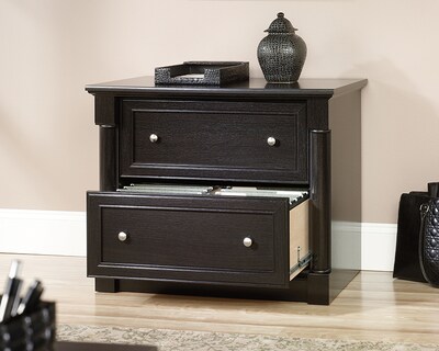Sauder Palladia 2-Drawer Lateral File Cabinet, Wind Oak (416514)