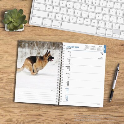 2025 BrownTrout German Shepherds 6" x 7.75" Weekly Engagement Planner, Paper Cover, Multicolored (9781975473143)