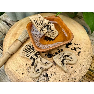 Yellow Door Dig and Discover Triceratops & Spinosaurus, Assorted Colors, 10/Set (YUS1228)