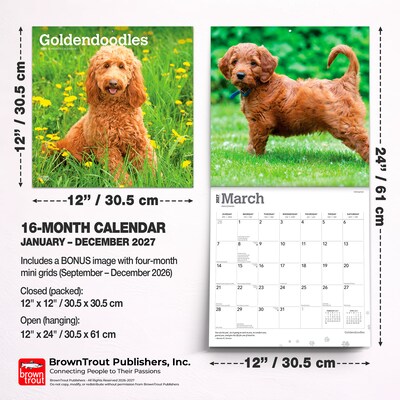 2027 BrownTrout Goldendoodles 12" x 12" Monthly Wall Calendar (9798330712489)