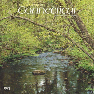 2025 BrownTrout Connecticut Wild & Scenic 12 x 24 Monthly Square Wall Calendar (9781975474720)