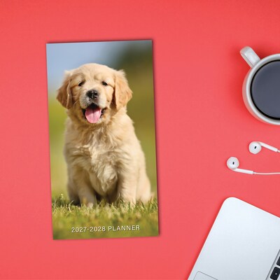 2026-2028 Willow Creek Puppies 3.5" x 6.5" Monthly Pocket/Wallet Calendar, Assorted Colors (66072)
