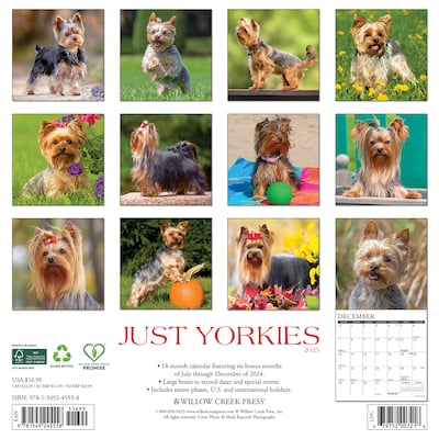 2025 Willow Creek Just Yorkies 12 x 12 Monthly Wall Calendar (45558)