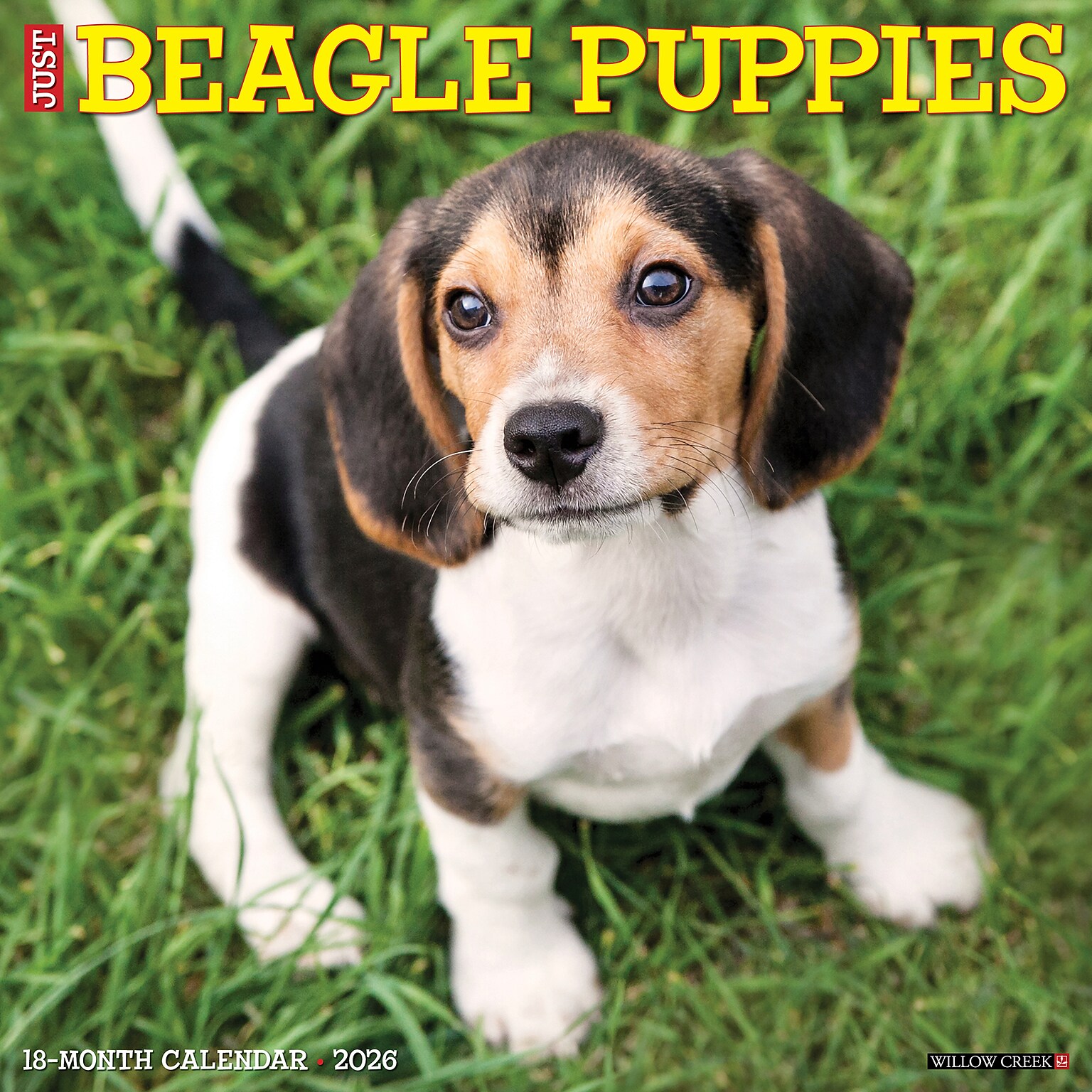 2026 Willow Creek Beagle Puppies 12 x 12 Monthly Wall Calendar (50132)