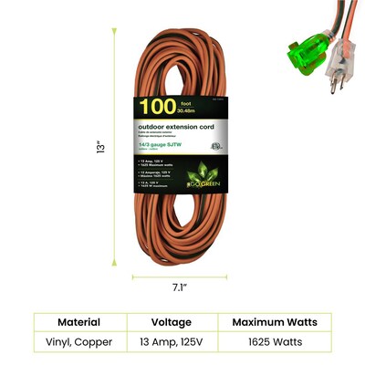 GoGreen Power 100 Indoor/Outdoor Extension Cord, 14 AWG, Orange (GG-13800)