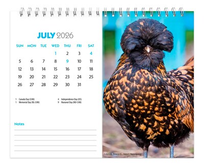 2026 BrownTrout Chickens 7.5" x 6" Monthly Desk Calendar (9798330702862)