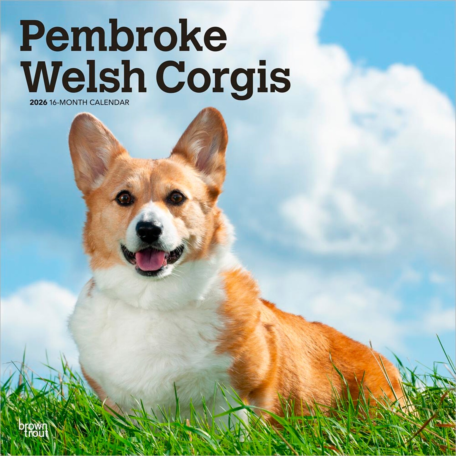 2026 BrownTrout Pembroke Welsh Corgis 12 x 12 Monthly Wall Calendar (9798330706242)