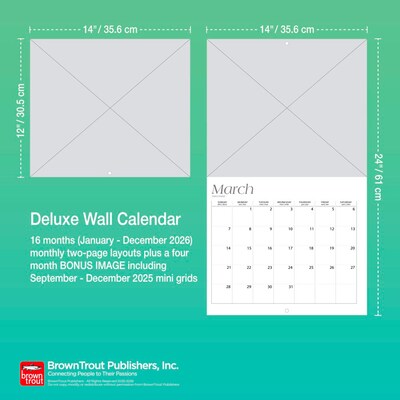 2026 BrownTrout American Pit Bull Terriers 14" x 12" Monthly Wall Calendar (9798330707867)