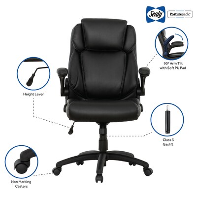 Sealy Posturepedic Hudson Ergonomic Swivel Office Chair, Black (64627)