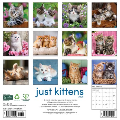 2026 Willow Creek Kittens 12 x 12 Monthly Wall Calendar (51696X)