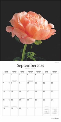 2025 Brush Dance In the Garden 12" x 12" Monthly Wall Calendar (9781975478568)