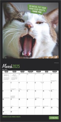 2025 BrownTrout Cat Selfies 12" x 12" Monthly  Wall Calendar (9781975474614)