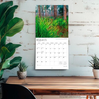 2026 BrownTrout National Parks 12" x 12" Monthly Wall Calendar (9798330704804)