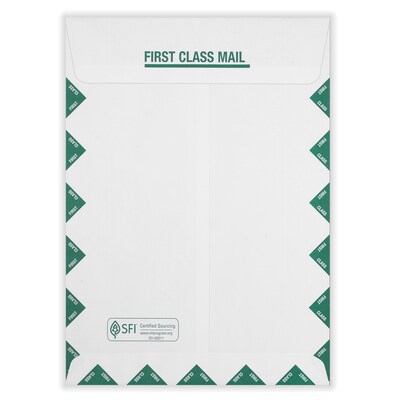 ComplyRight UB-04 Self Seal Document Envelopes, 9 x 12 1/2, White/Green, 100/Box (1492LL)