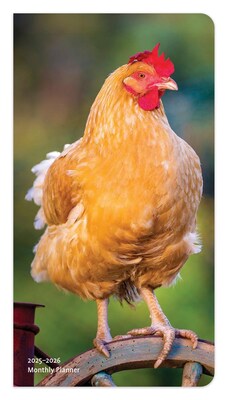 2025 BrownTrout Chickens 3.5 x 6.5 Monthly Two Year Pocket Planner, Paper Cover, Multicolored (9781975483739)