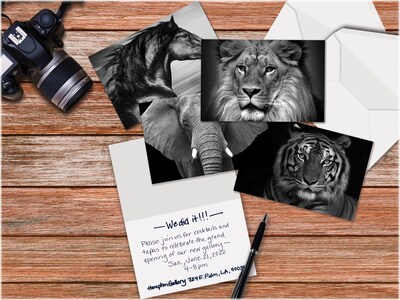 Better Office Wild Animal Portraits Cards with Envelopes, 4" x 6", Black/White, 50/Pack (64640-50PK)